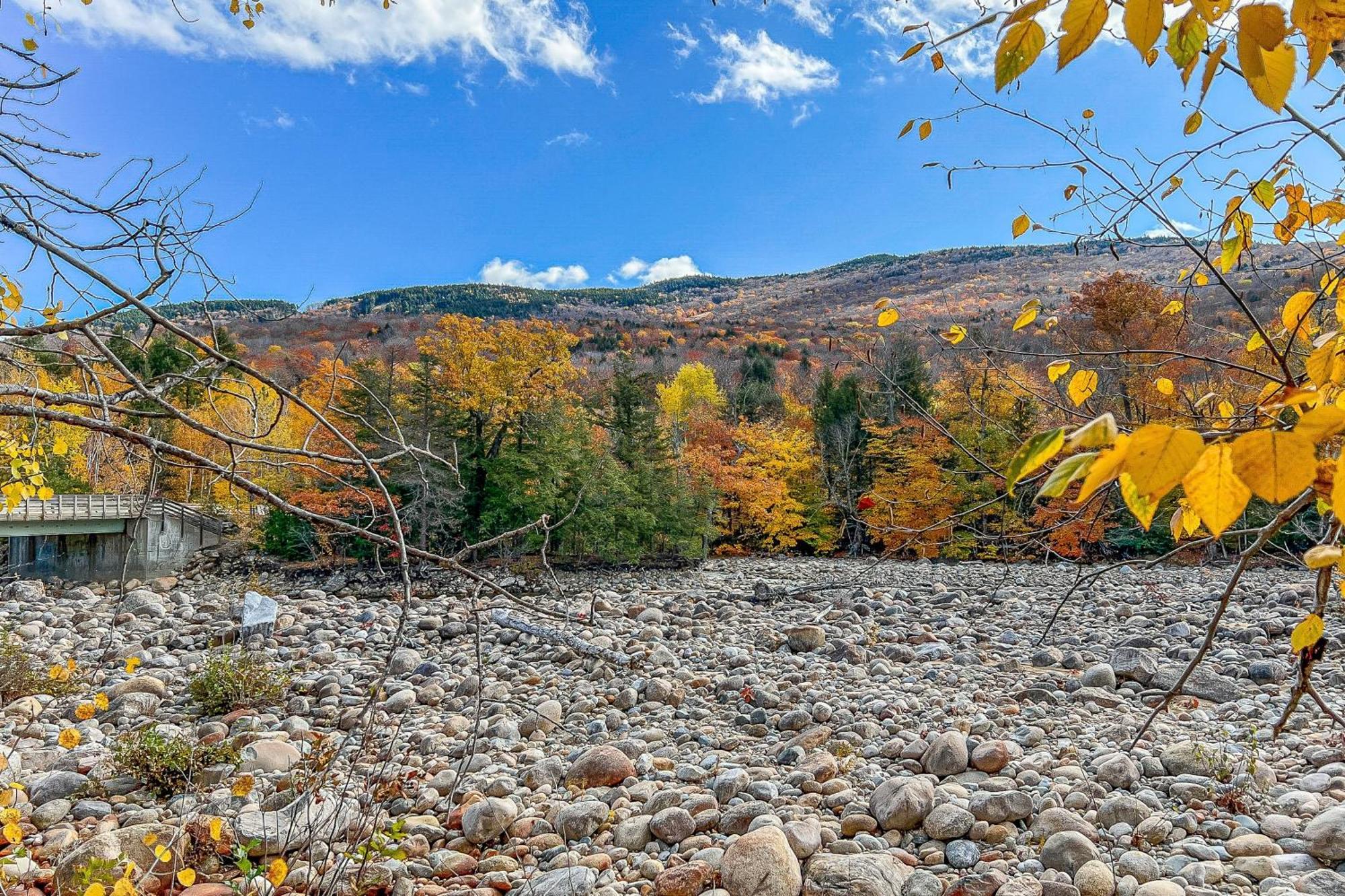 Autumn Colors Condo At Rivergreen Lincoln Bagian luar foto