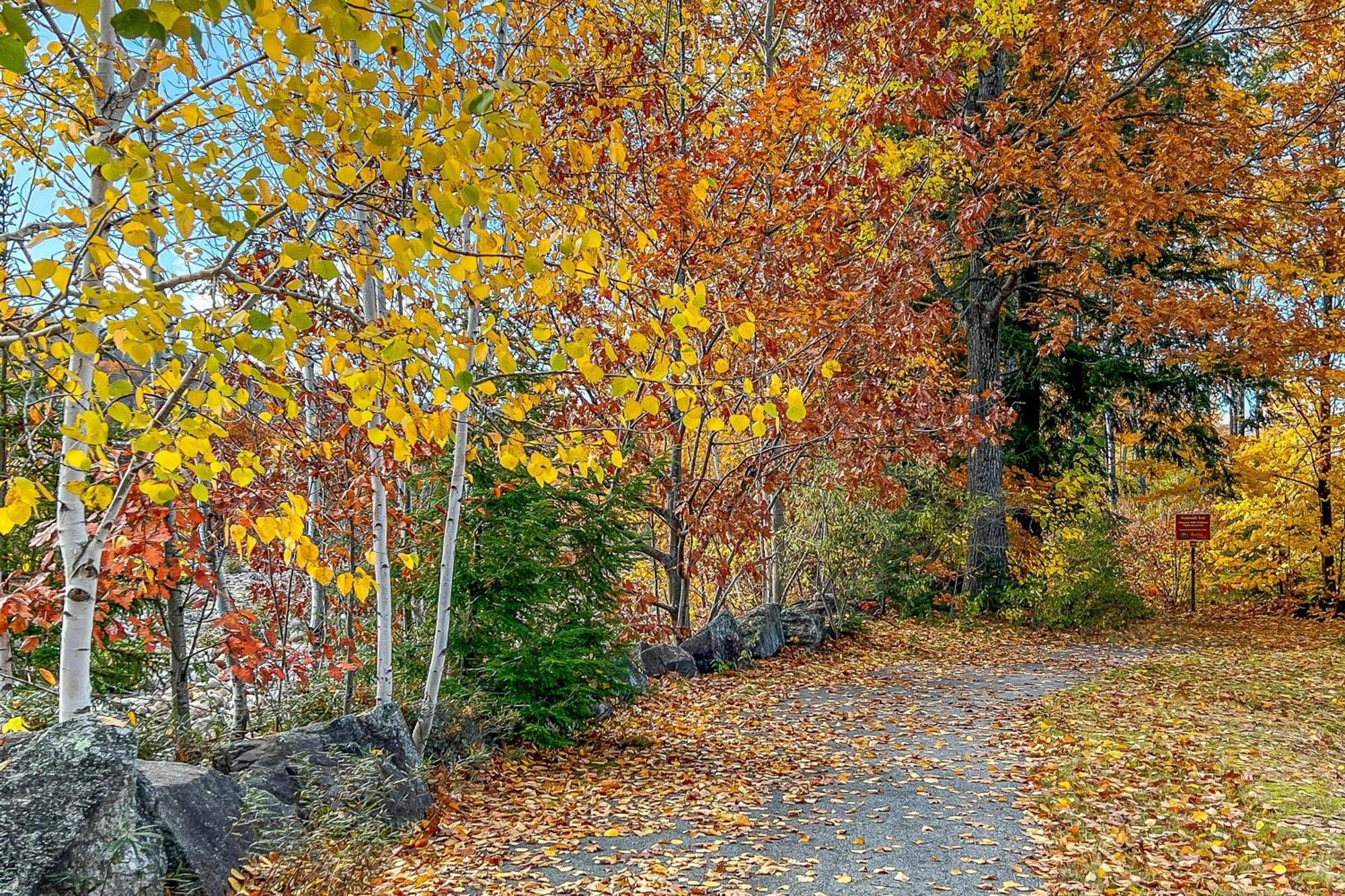 Autumn Colors Condo At Rivergreen Lincoln Bagian luar foto